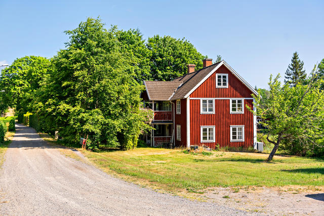 Björneke 2