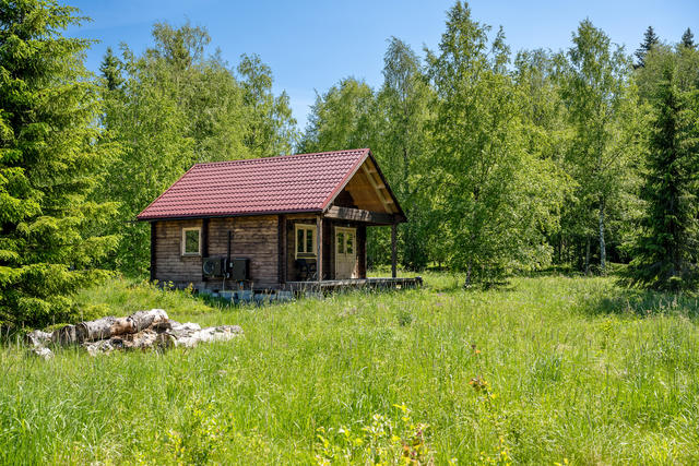 Trädgård