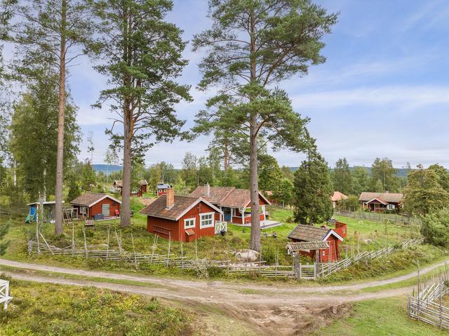 Lövbergets fäbod - Finnlindorna
