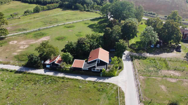 Hus omgiven av grönska