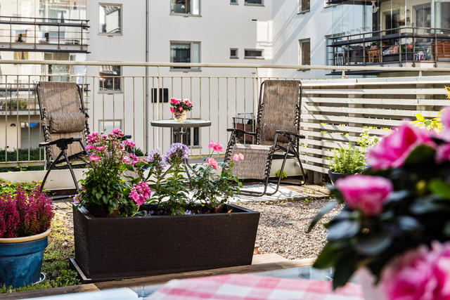 En plats i solen