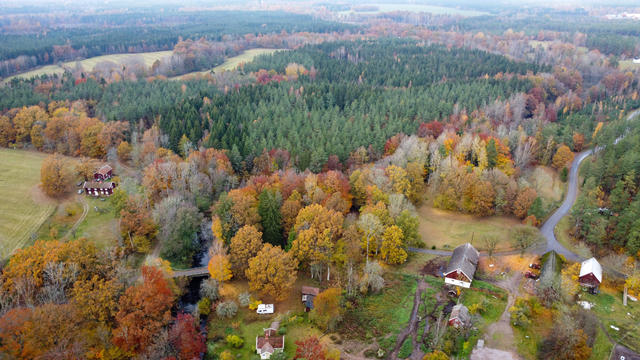 Skogsfastighet utanför Tvärskog