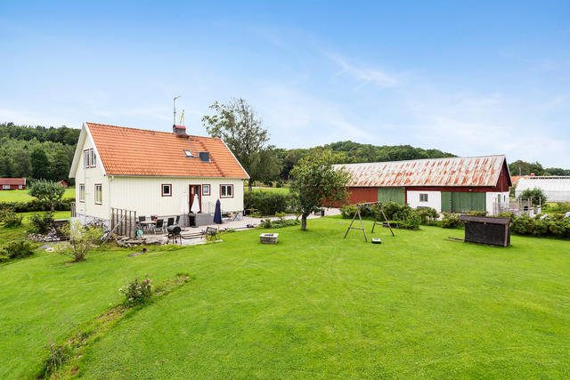 Fantastisk trädgård