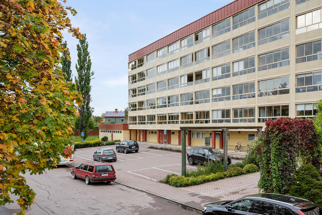 Välkommen till Ringen 8B!