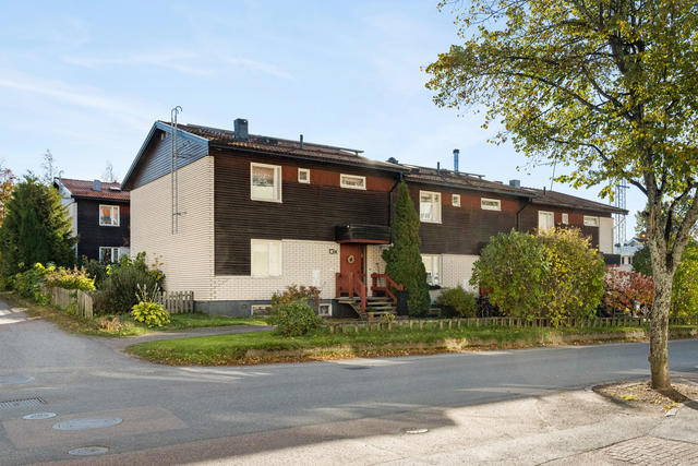 Fasad, framsida