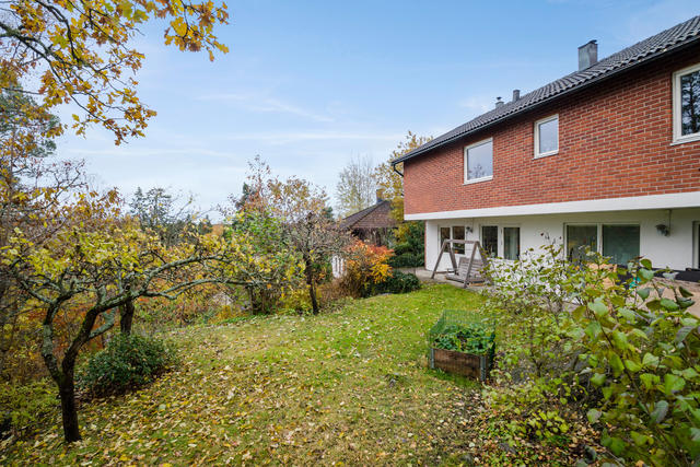 Lummig baksida
