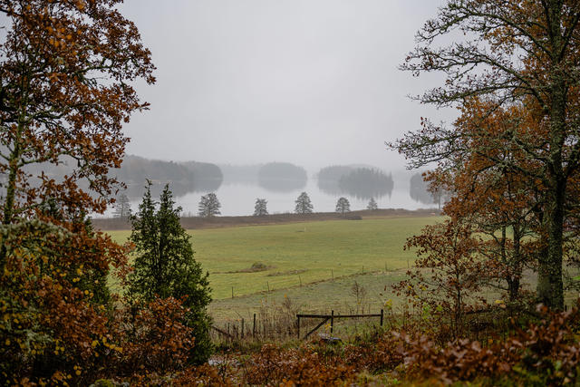 Vackra Nedingen