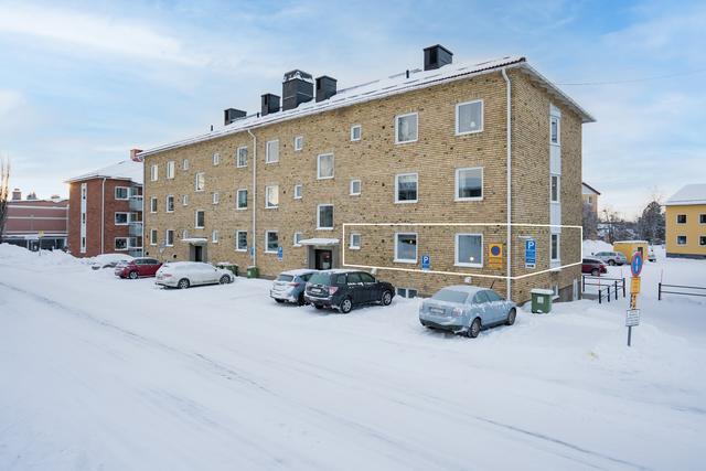 Exteriör