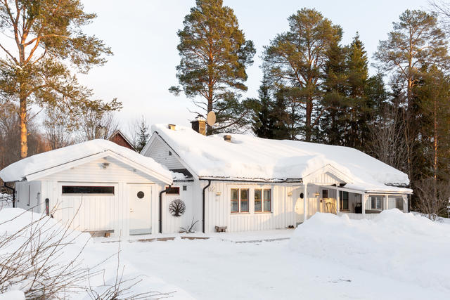 Huset sett från söder.