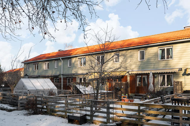 Baksida fasad med trädgård