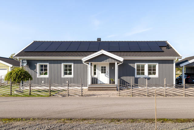Välkommen till Vipstigen 101!