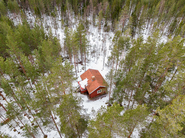 I ett hus i skogens slut!