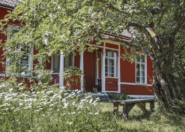 Säljarens fotografi sommartid.