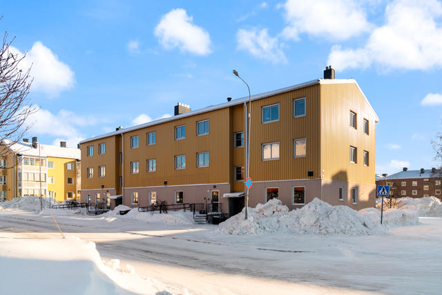 Exteriör
