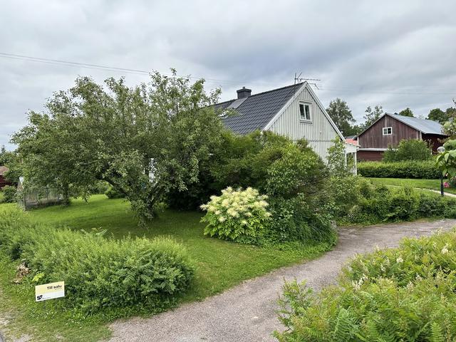 Lummig och uppväxt trädgård