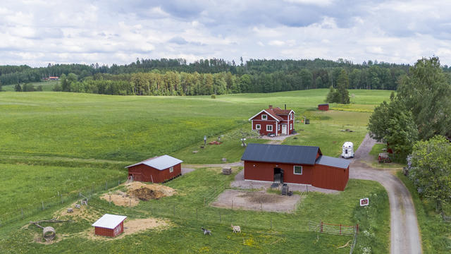 Gårdsbild
