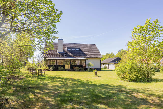 Grönskande baksida