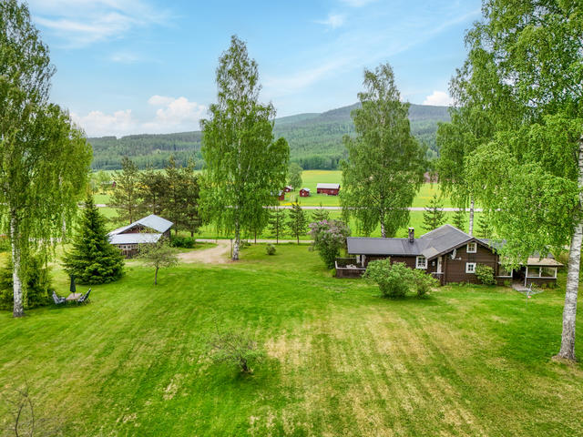 Vy mot öster över tomten.
