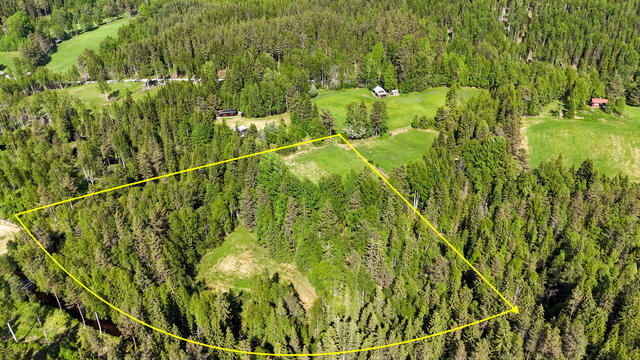 Linjerna är ungefärliga och visar inte exakta tomtgränserna.