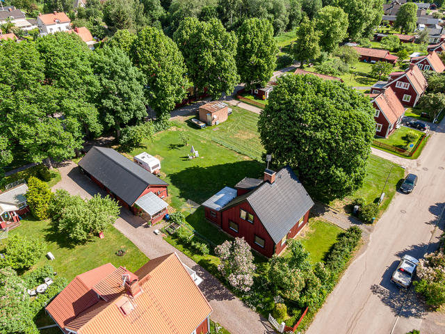 Tomten omgärdas av ståtliga träd