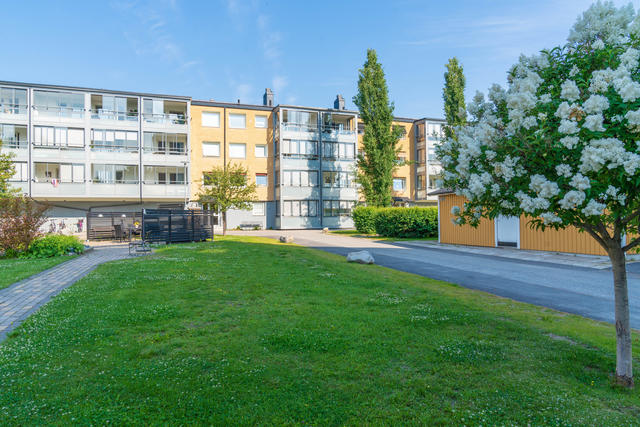 Föreningens innergård