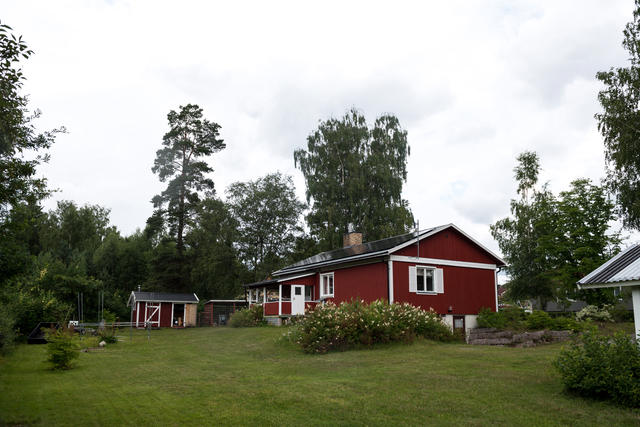 Trädgård