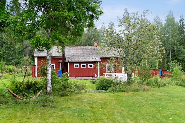 Huset och trädgården