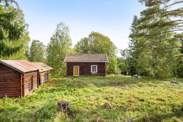 Finnlindorna 51 i Lövbergets fäbodar