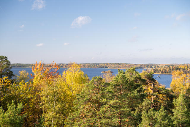 Vy från balkongen