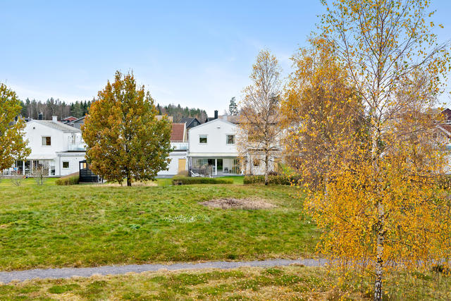 Huset från den allmäna grönytorna
