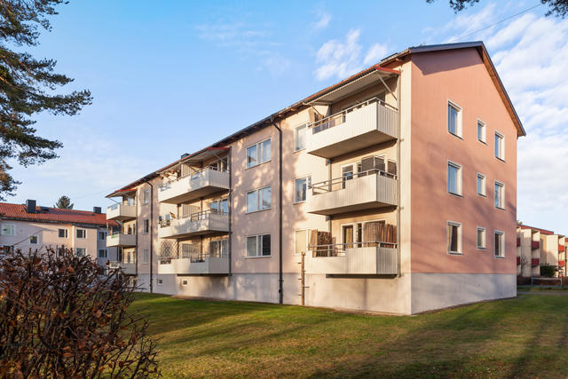 Exteriör