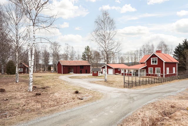 Välkommen till Borgsheden 133!