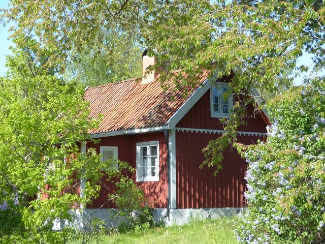 Säljarens egna bilder