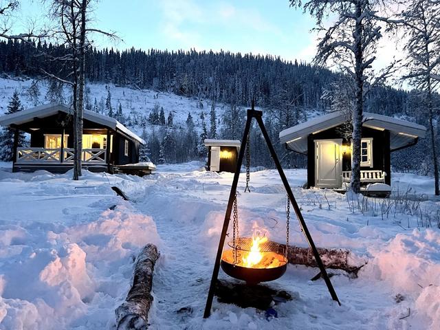 Ägarens egna bilder från i vintras.