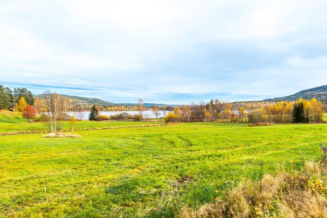 Exteriör - Utsikt över sjön