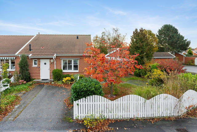 Välkommen till Danska v. 43