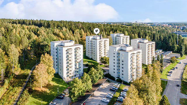 Exteriört - mot Gammliaskogen