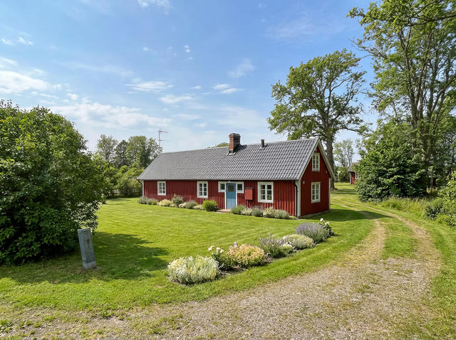 Årstiden är digital visualisering