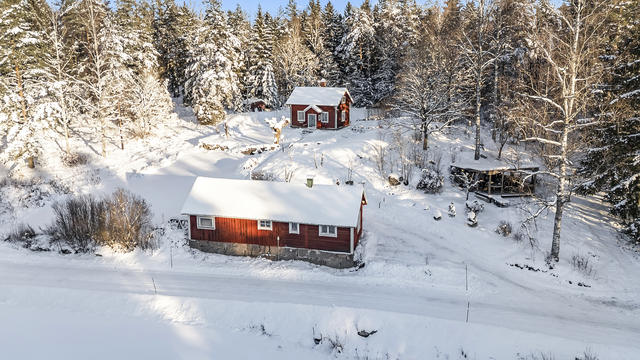 En vacker skogsglänta