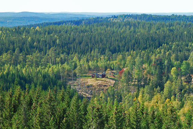 Säljarens egna bild