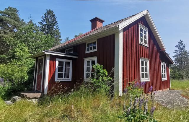 Säljarens sommarbild