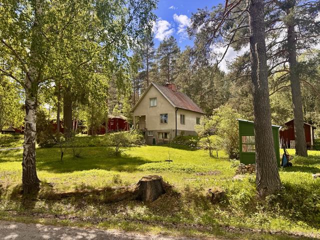 Säljarens bild. 