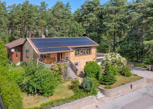 Välkommen till Djungelvägen 31