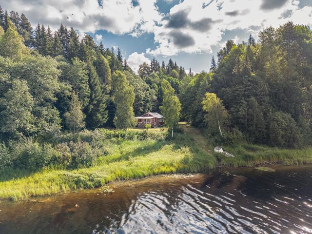 Gröntuv 11 - en oas i grönskan