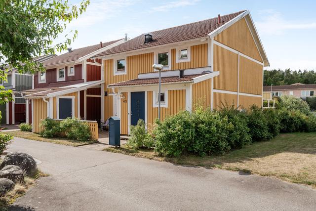 Välkommen till Middagsgatan 43!