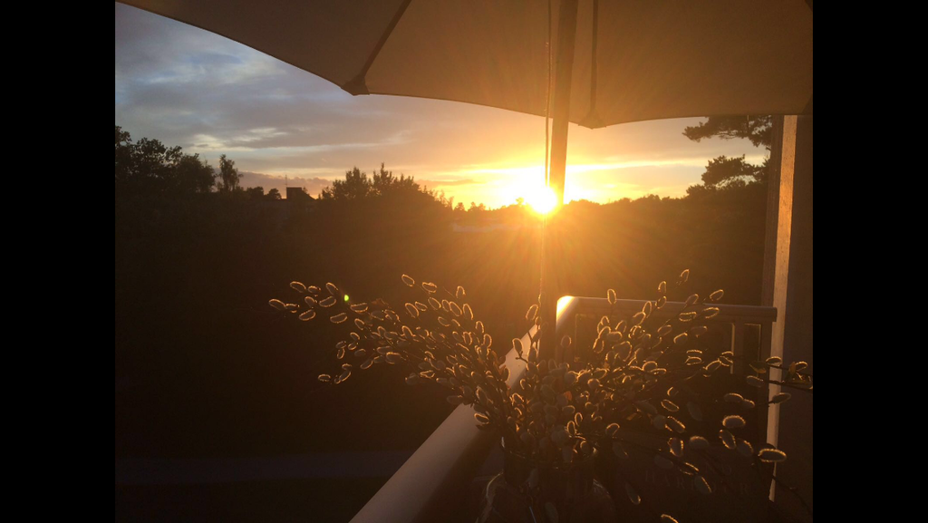 Säljarens bild