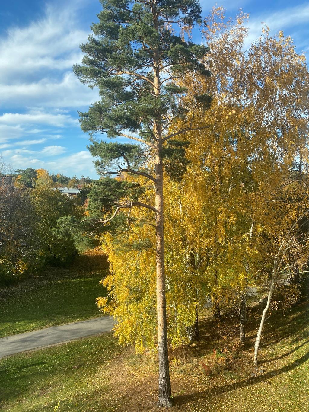 Utsikt