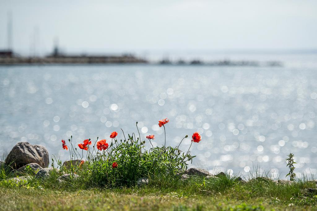 Havet