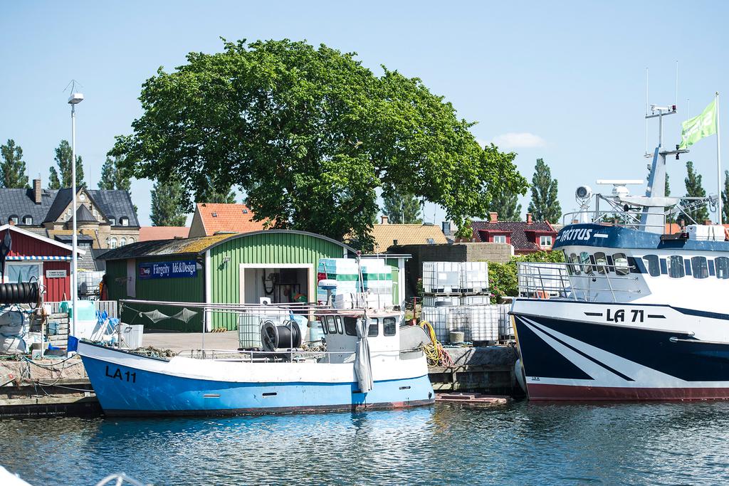Borstahusens hamn