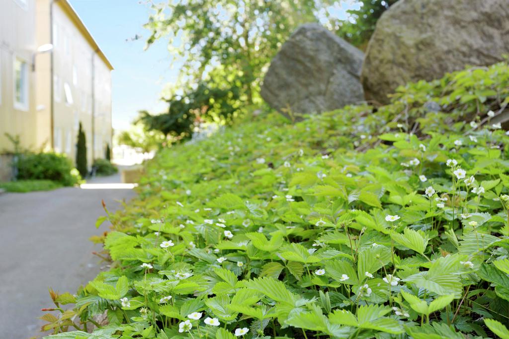 Detaljbild